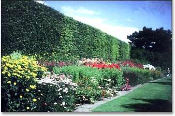 《环球城市,风行绿墙》图片素材(3张)